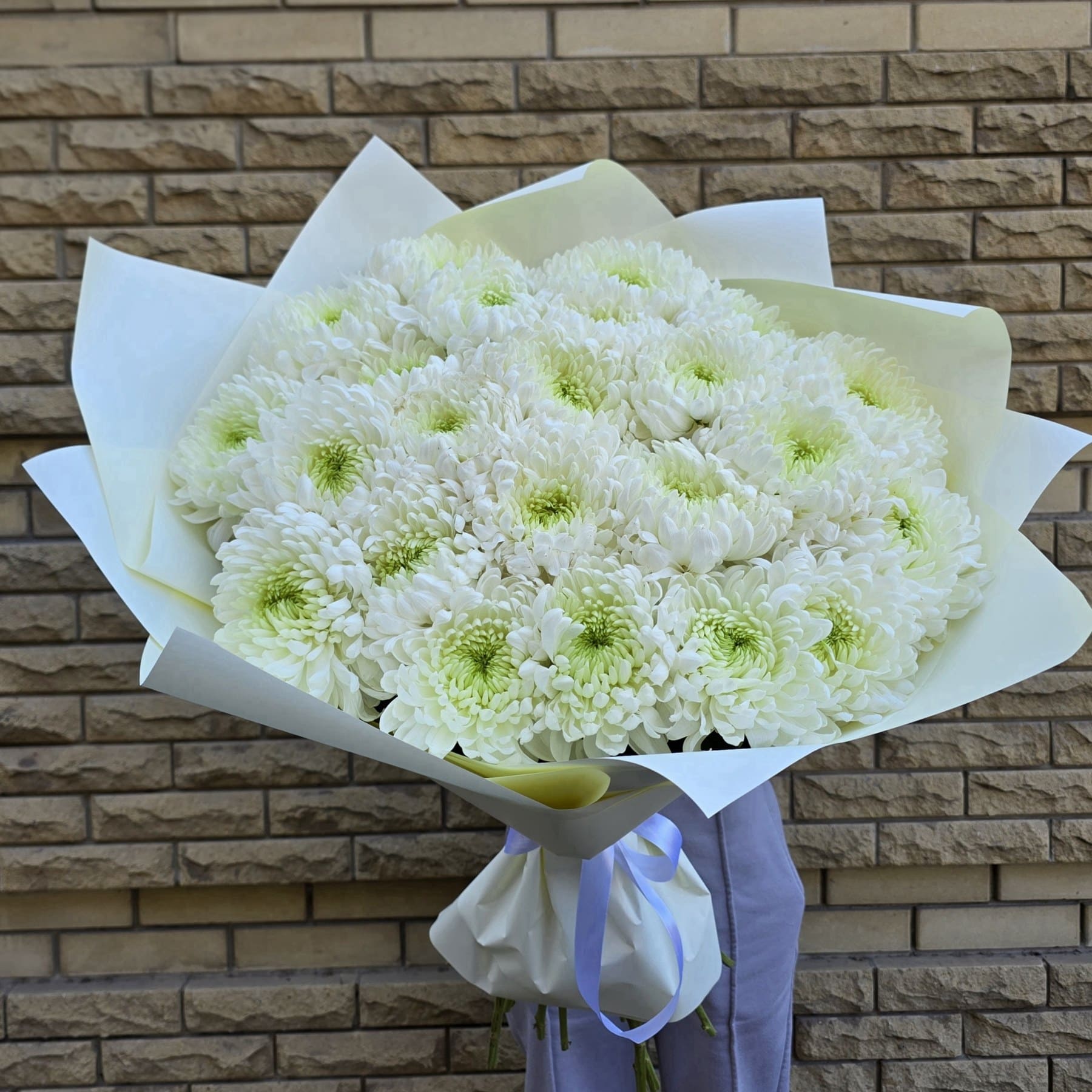 Хризантема одноголовая белая 